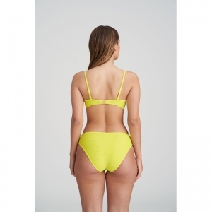 brigitte suncoast