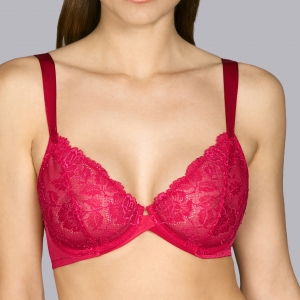 tiziano persian red