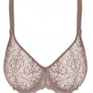 cassiopee rose sauvage