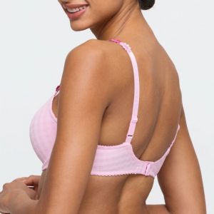 avero lily rose