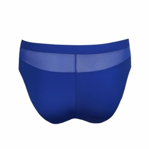 sophora blue print
