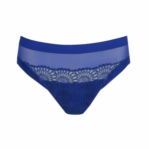 sophora blue print