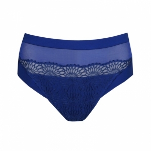 sophora blue print