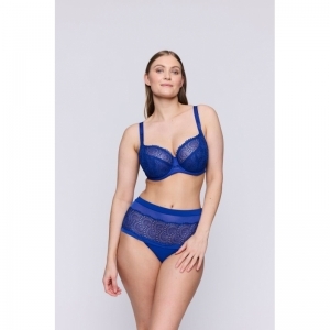 sophora blue print