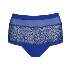 sophora blue print
