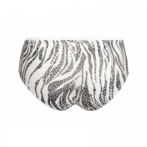 zebre rebelle zebre leo