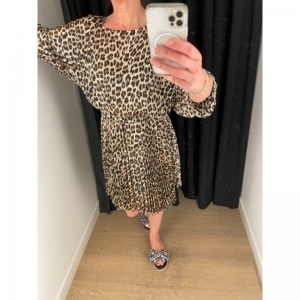 twbeach leopard