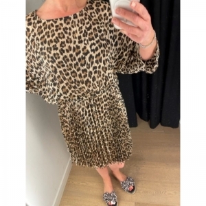 twbeach leopard