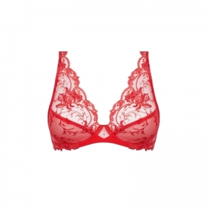 source beaute hibiscus