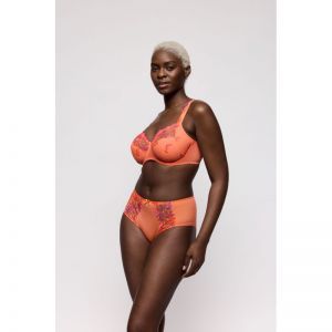 devdaha sunset blush