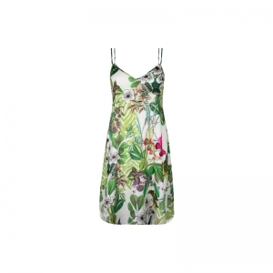 envolee tropicale tropical