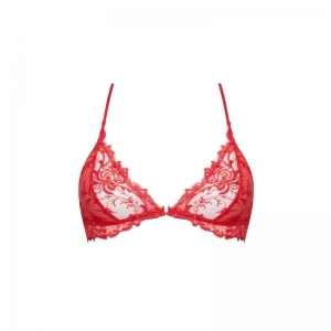 source beaute hibiscus