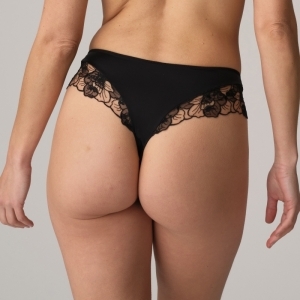 sancha zwart