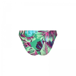 paradis sauvage groen