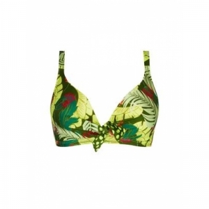 la venus nature bloem groen
