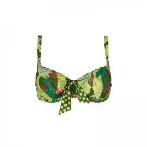 la venus nature bloem groen