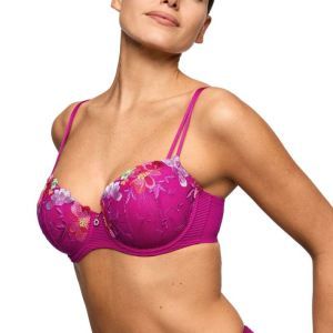 odilly wild rose
