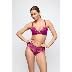 odilly wild rose