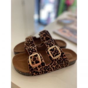 isobeach leopard