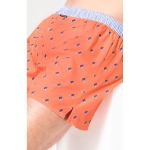 calecon koraal walvis