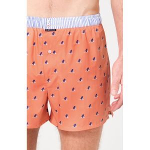 calecon koraal walvis