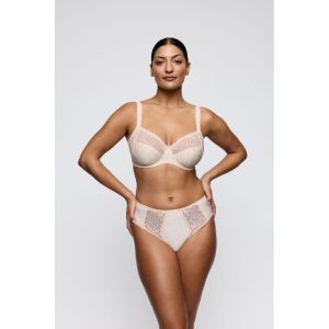 monterrey venus