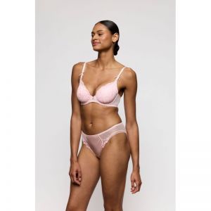 noova gardenia rose