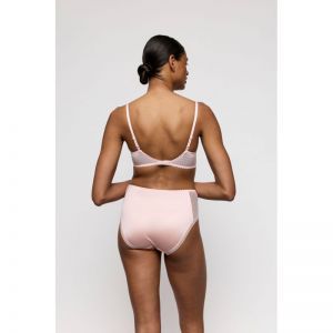 noova gardenia rose