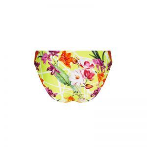 fleurs splendeur lime