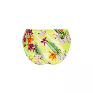 fleurs splendeur lime