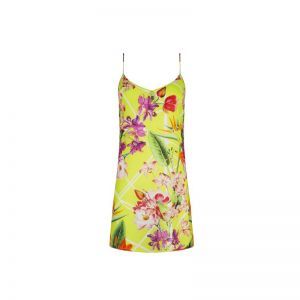 fleurs splendeur lime