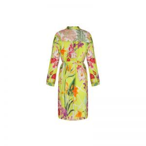 fleurs splendeur lime