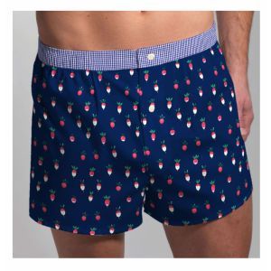 calecon Radijs