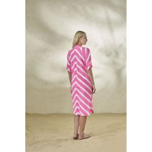 orvane streep roos